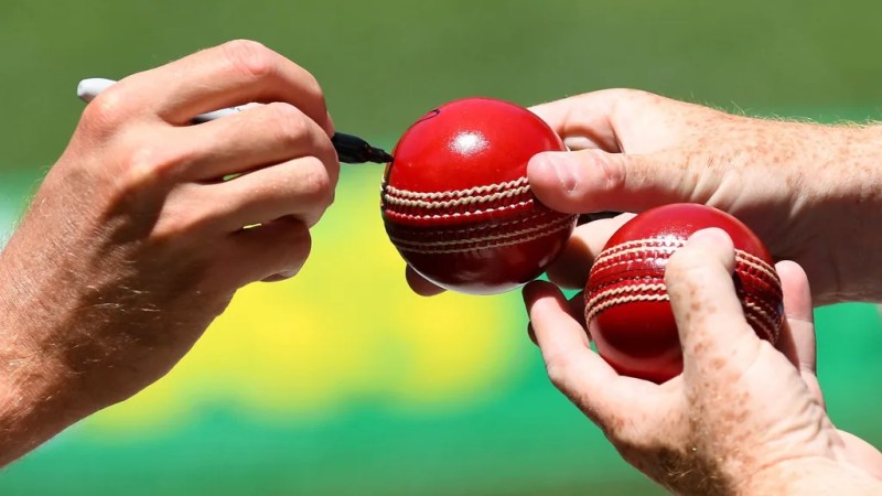 Dukes Cricket Ball Price